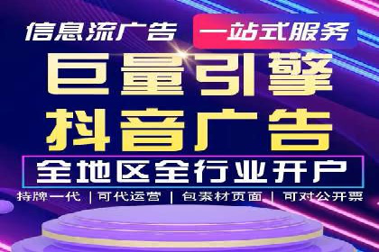 大型SEM服务公司案例分析